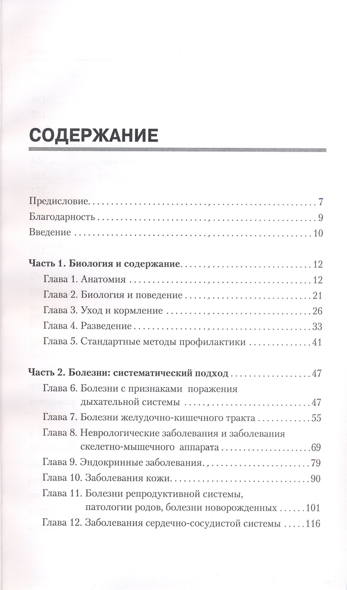 Болезни хорьков — фото 1