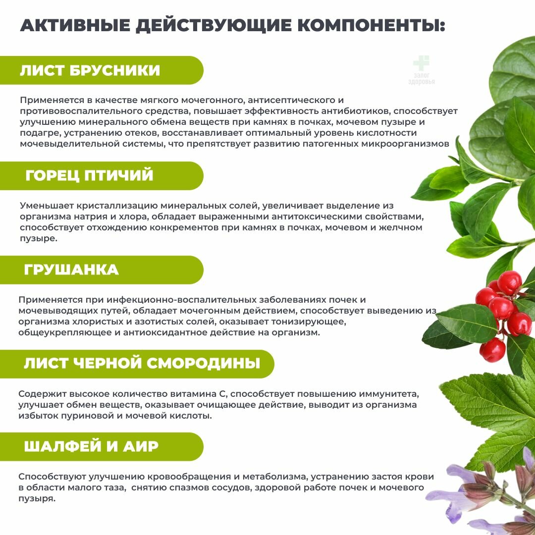Концентрат растительный для Почек и мочевыводящих путей "Полезные Травы" 60 капсул по 450 мг. — фото 1