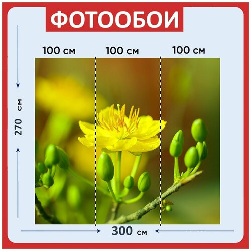 Фотообои Персиковый цветок цветок бутоны 300x270 см флизелиновыена стену 3960₽