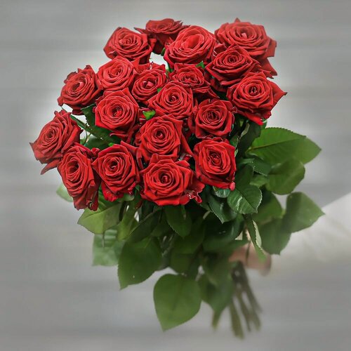 Изображение товара Букет живых цветов из 19 красных роз (Россия) с лентой 50 см