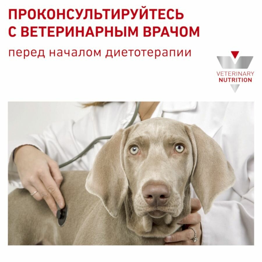 Сухой корм Royal Canin Gastro Intestinal GI25 диета для собак 15кг — фото 1
