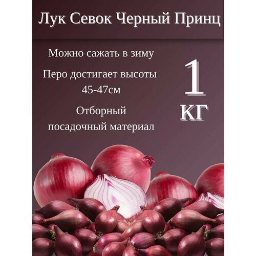 Лук Севок сорт Черный Принц 1кг 550₽