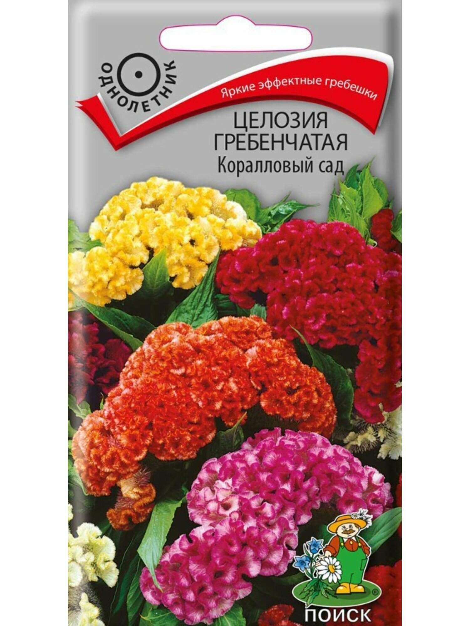 Семена Целозия Гребенчатая Коралловый сад