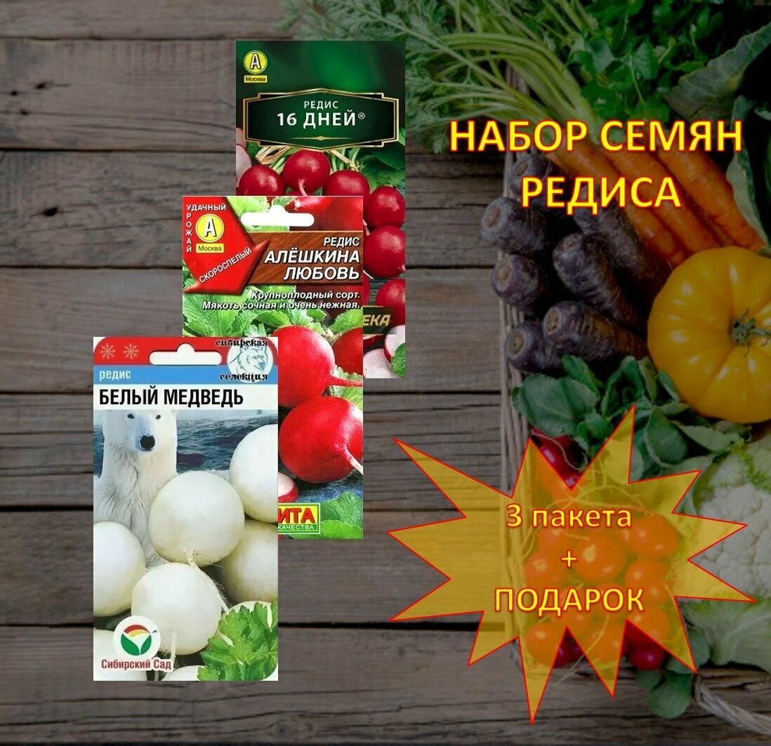 Семена редиса 16 дней Белый медведь Алешкина любовь