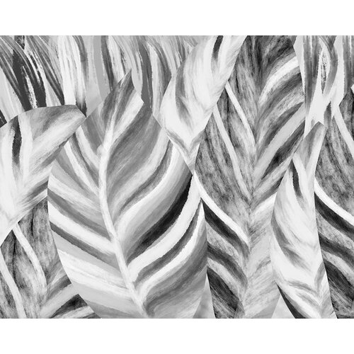 Моющиеся виниловые фотообои Фон банановые листья черно-белые, 300х240 см