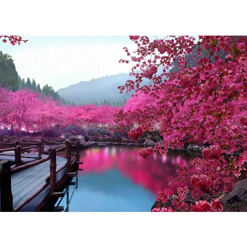 Моющиеся виниловые фотообои Цветущая сакура у воды. Япония, 420х290 см