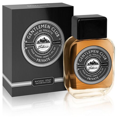 ART PARFUM Gentlemen club Privat men 100 ml edt