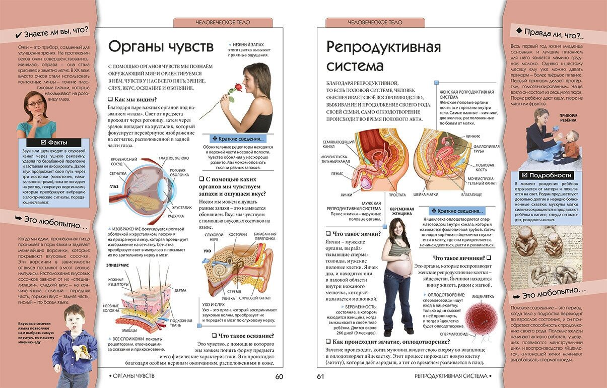 Лучшая книга для почемучек и любознашек обо всем - фото №9