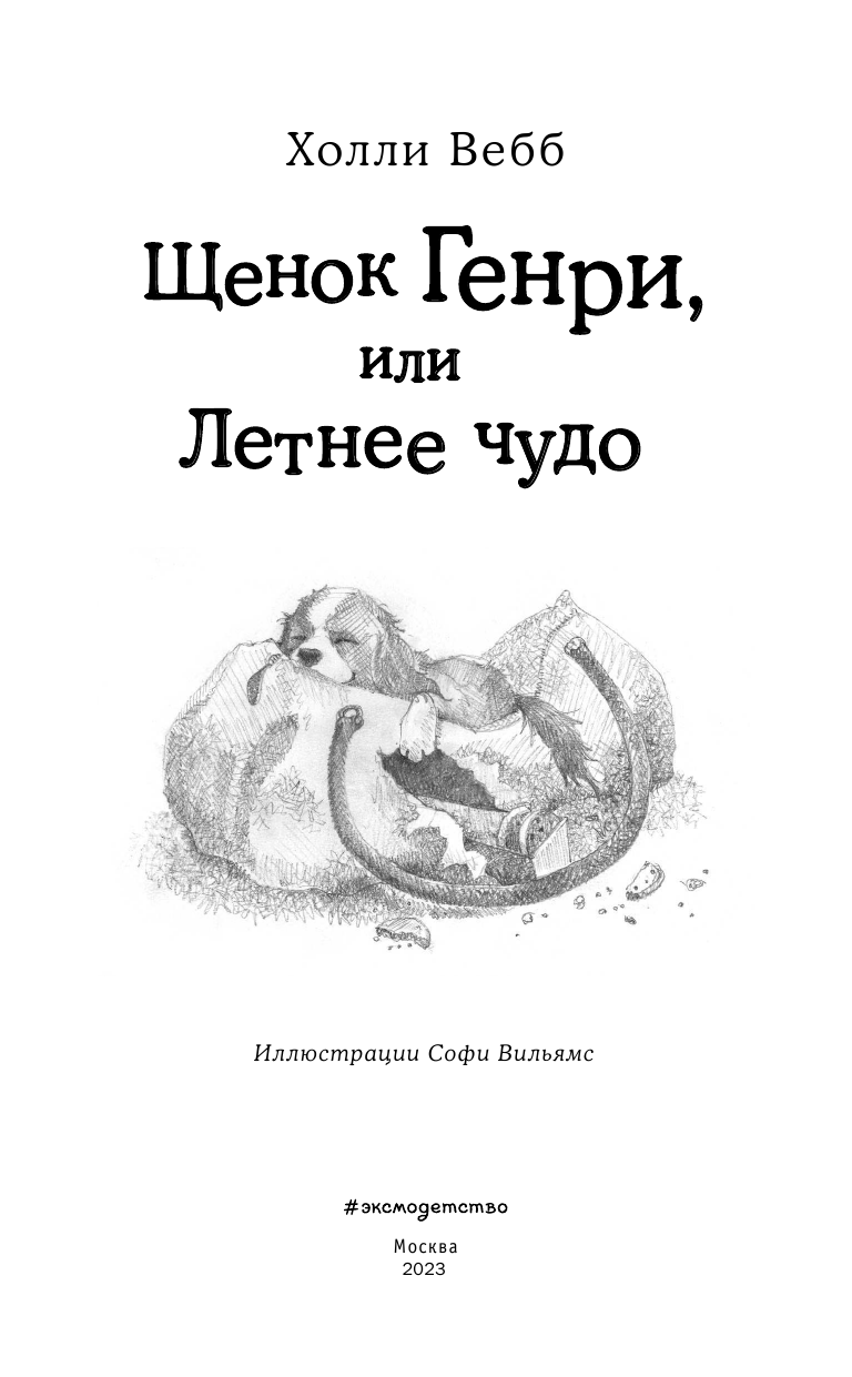 Щенок Генри, или Летнее чудо (Вебб Холли , Тихонова Анна Алексеевна (переводчик), Вильямс Софи (иллюстратор)) - фото №12