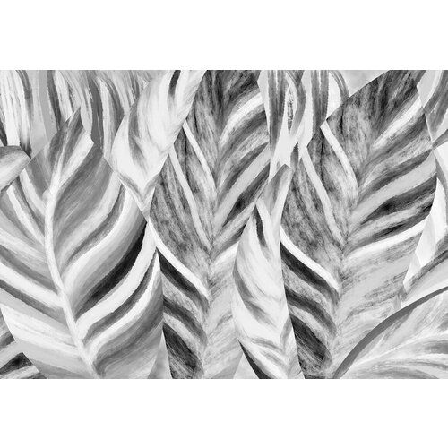 Моющиеся виниловые фотообои Фон банановые листья черно-белые, 400х280 см