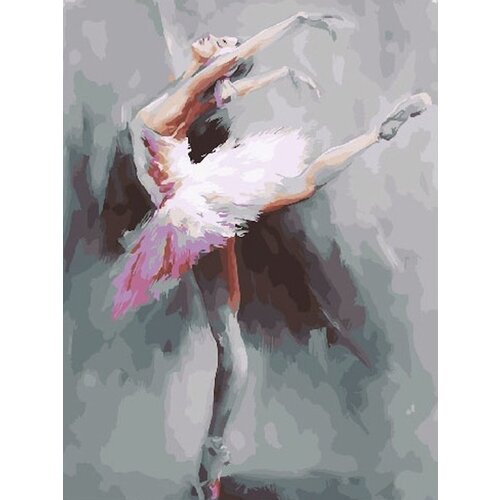 Картина по номерам Восхитительный балет 40х50 см