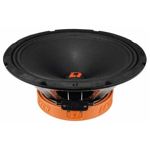 Акустическая система DL Audio Raven 250 V2 25 см 10 громкая эстрадная пара 949000₽