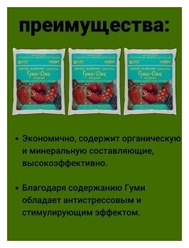 Удобрение для растений сада и огорода Гуми Оми Ягодный Клубника Земляника Малина Смородина Наборы 3 уп по 700 гр. ОЖЗ Кузнецова - фотография № 3