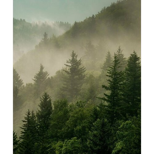 Моющиеся виниловые фотообои Туман над горами, 250х300 см