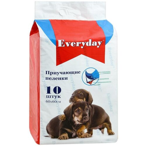 Everyday Гелевые 60х60 см,10шт (0.25 кг) (2 штуки)