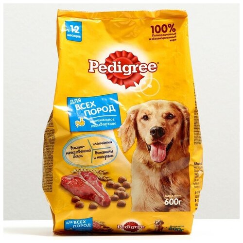 Сухой корм Pedigree для взрослых собак всех пород, говядина, 600 г