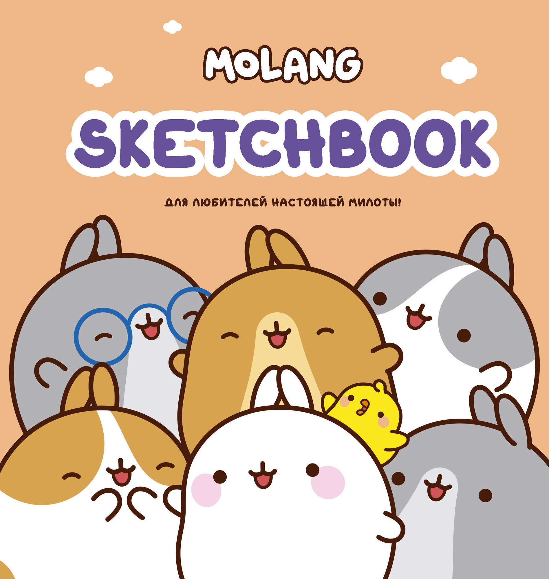 Molang. Sketchbook. Для любителей настоящей милоты! (бирюзовый) - фото №1