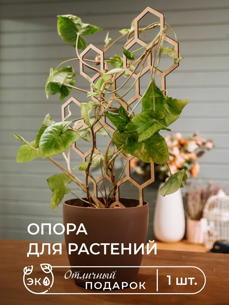 Опора для растений и цветов деревянная интерьерная подставка