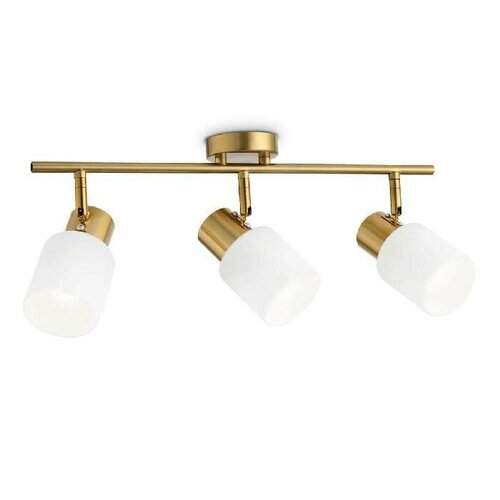 Спот Ambrella light Traditional TR3972 5061₽