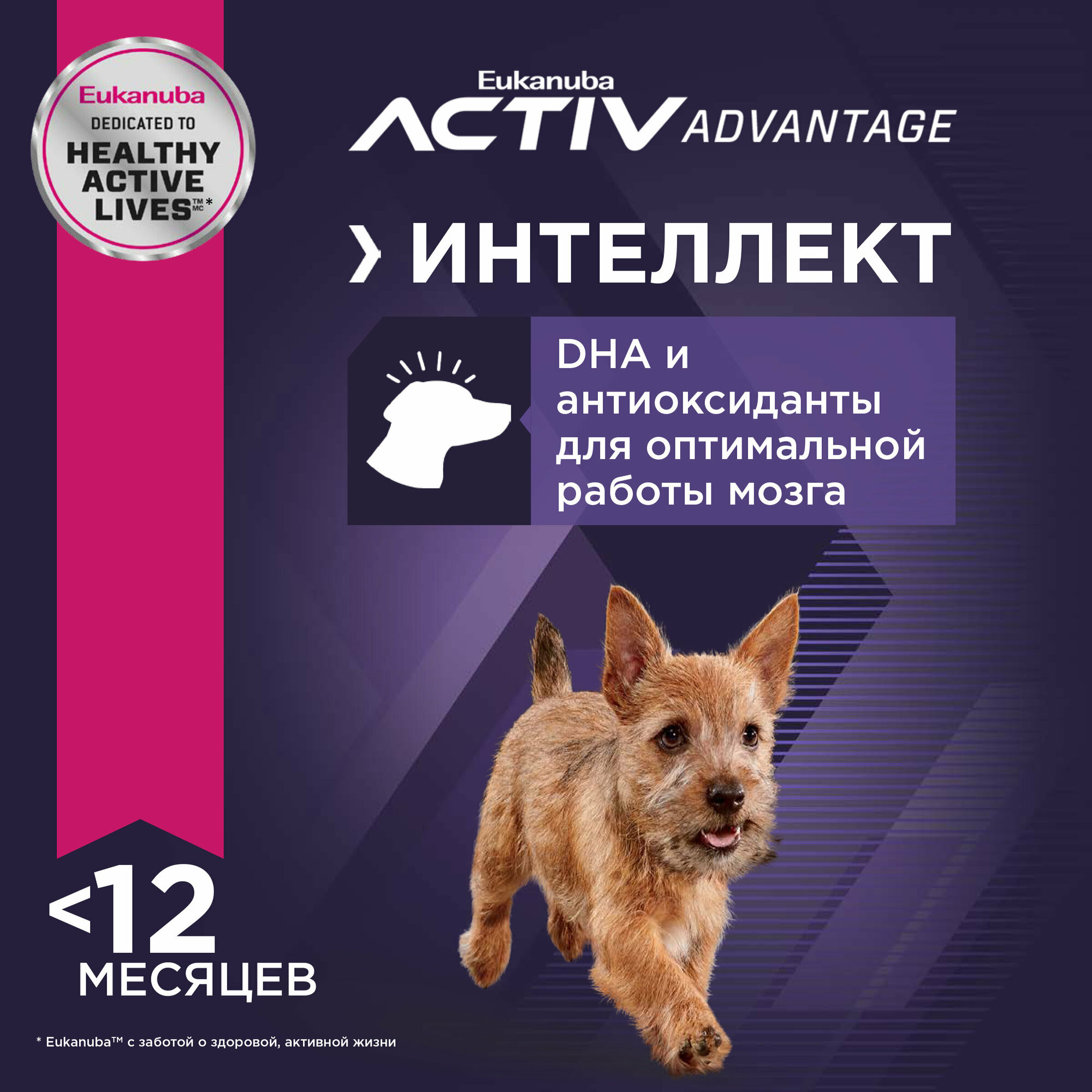 Корм для щенков мелких пород Eukanuba Puppy Small Breed <12 months сухой, 800г