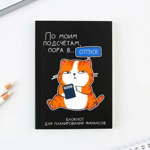 блокнот artfox денежный кот а6 68 листов 4201508 бирюзовый Умный блокнот для планирования финансов «Кот», формат А6, 68 листов.