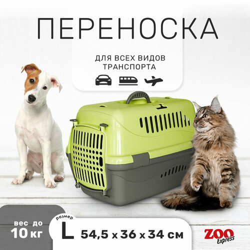 Переноска ZOOexpress Турне для кошек и собак мелких пород, цветная пластиковая дверца, 54,5х36х34 см (L), зелёный