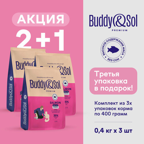 Корм для кошек сухой Buddy&Sol премиум-класса с лососем, для здоровой кожи и шерсти, 3 упаковки по 400 г