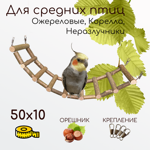 Лесенка деревянная для попугаев и птиц 50х10 см