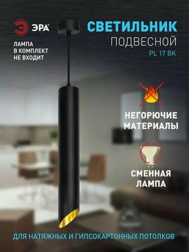 Изображение товара Светильник потолочный подвесной ЭРА PL17 BK, металл, GU10, черная