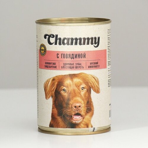 Влажный корм Chammy для собак, говядина в соусе, 415 г влажный корм для кошек chammy с говядиной 415 г кусочки в соусе