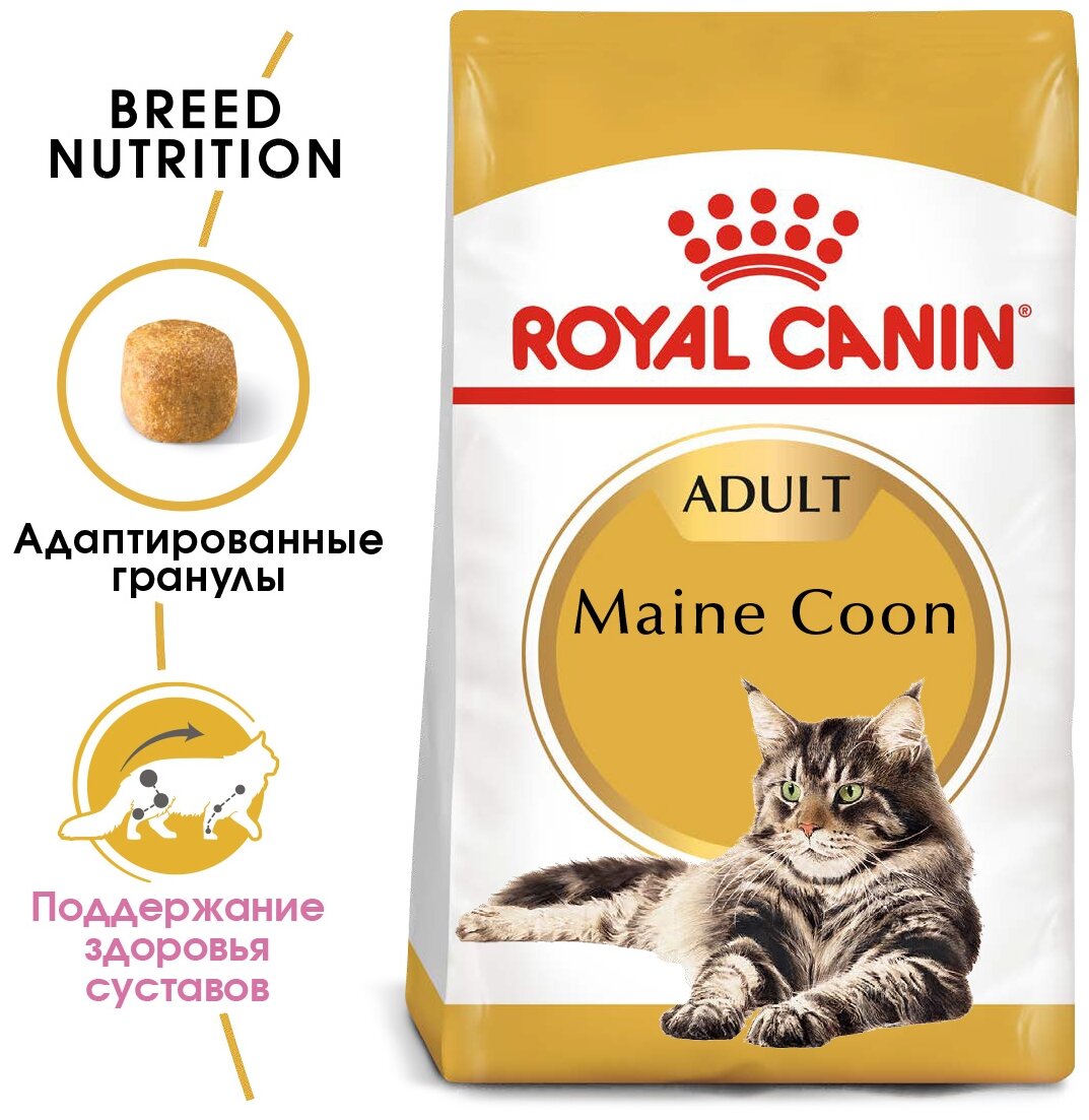 Корм для кошек крупных пород ROYAL CANIN Maine Coon 31, 400г