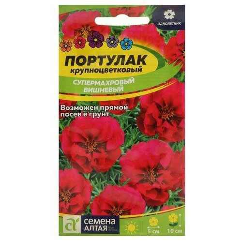 Семена цветов Портулак Супермахровый, вишневый 0,1 г 6 упаковок