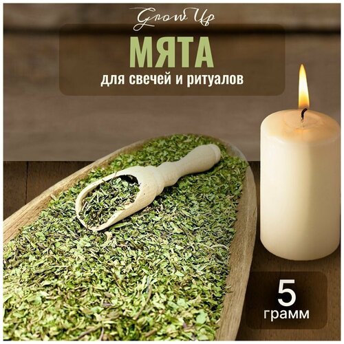 Сухая трава Мята (трава) для свечей и ритуалов, 5 гр сухая трава крапива для свечей и ритуалов 5 гр