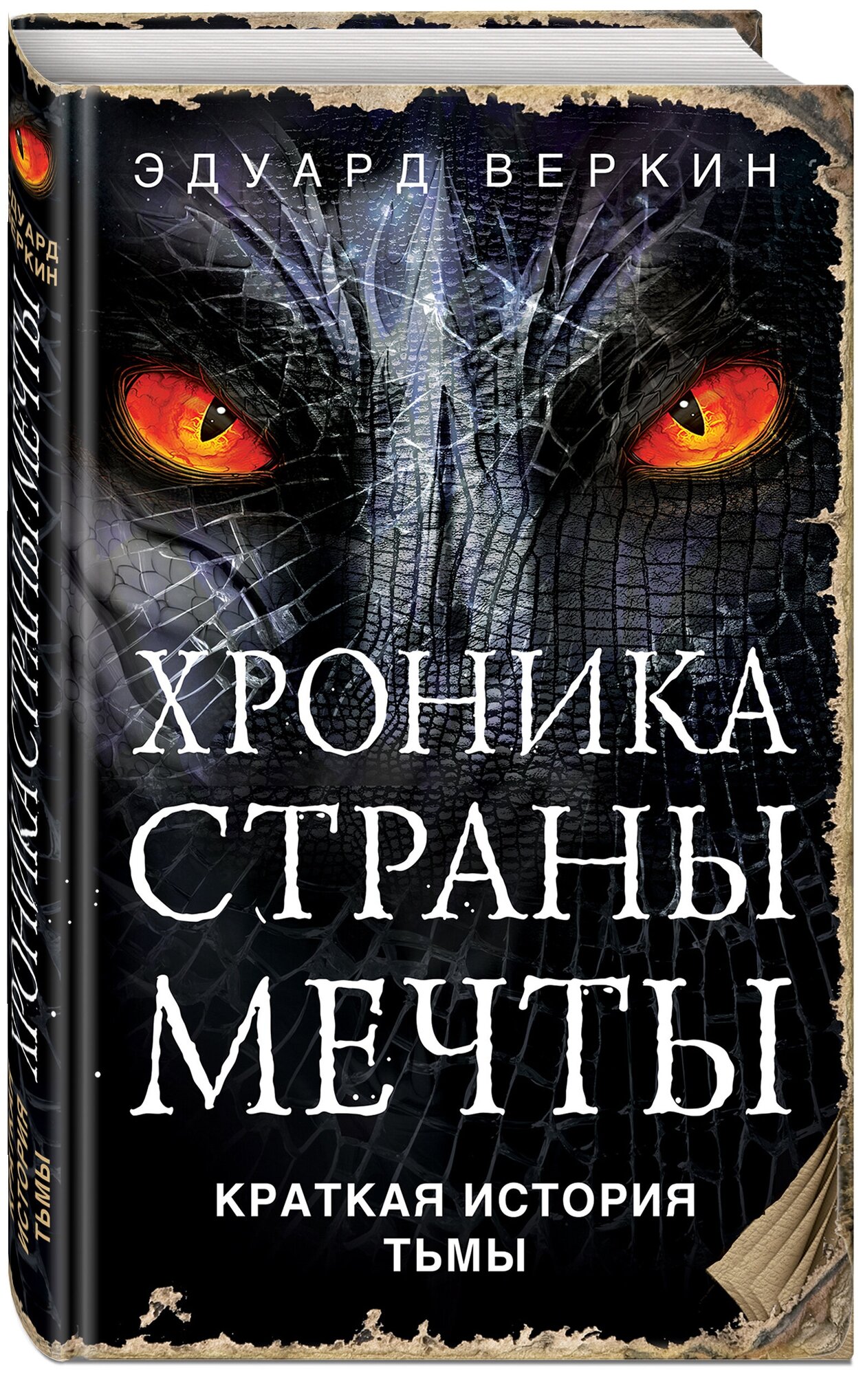 Краткая история Тьмы (Веркин Эдуард Николаевич) - фото №1