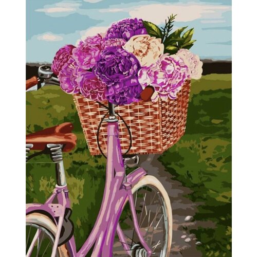 фото Картина по номерам на деревянном подрамнике 40x50 прогулка на велосипеде va-3284 colibri