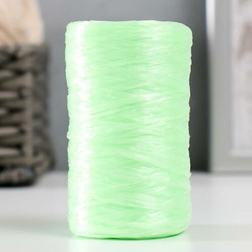 Пряжа для ручного вязания, 100% полипропилен, 200 м/50 гр, №2-3, зелёный салатовый, 5 шт.