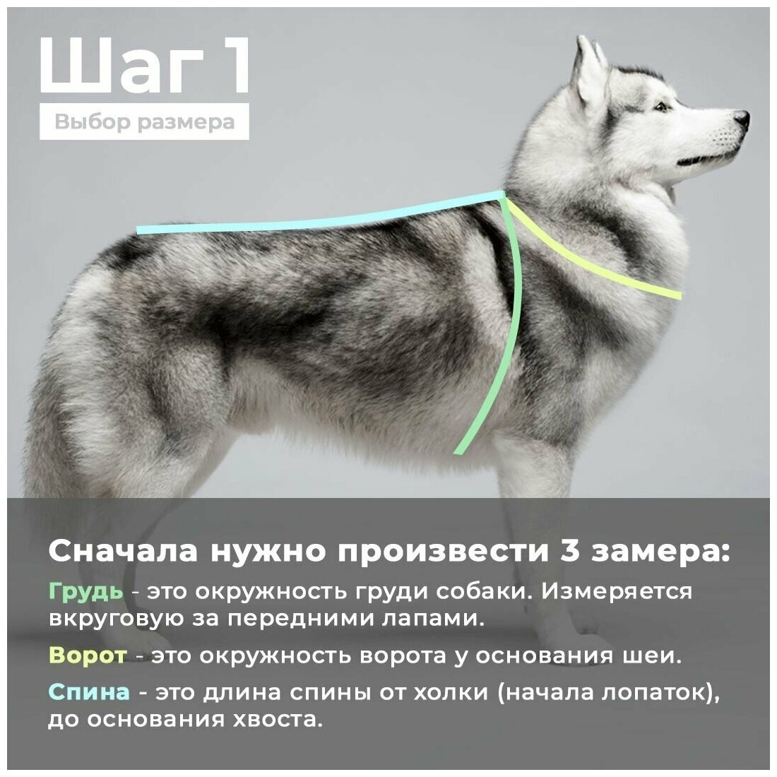 Комбинезон-дождевик для собак демисезонный White Wolf вырез на мальчика бежево-зеленый - фотография № 7