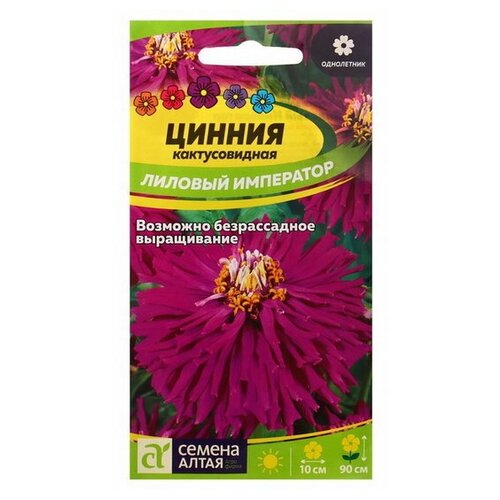 семена цветов цинния лиловый император кактусовидная о цп 0 2 г Семена цветов Цинния Лиловый император кактусовидная, О, цп, 0.2 г
