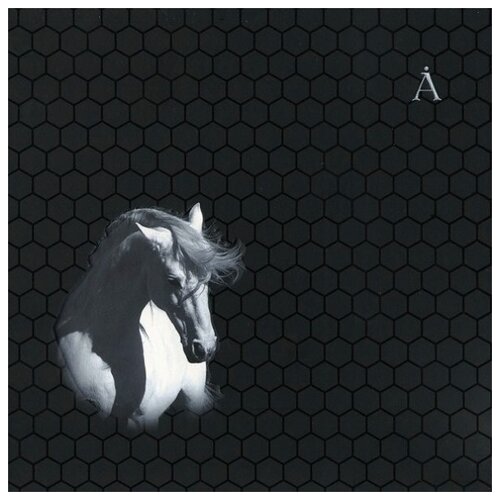 Аквариум Лошадь Белая 12