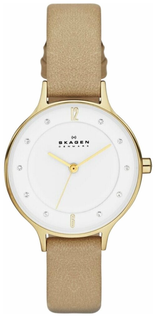 Наручные часы SKAGEN