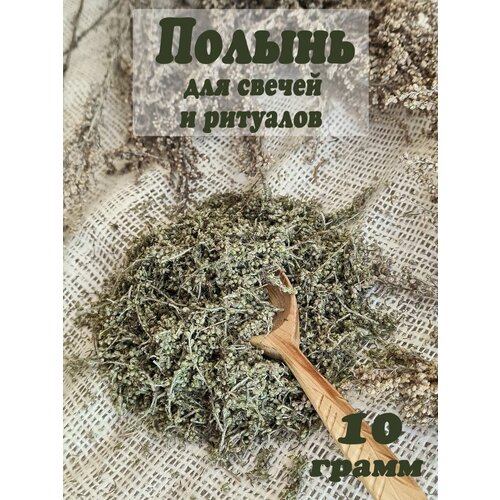 Сухоцветы полынь сухая трава для творчества, ароматерапии, свечей и ритуалов набор для изготовления свечей с травами полынь свечи с полынью