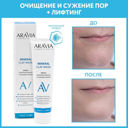 ARAVIA Маска для лица мультиактивная с голубой глиной Mineral Clay Mask, 100 мл