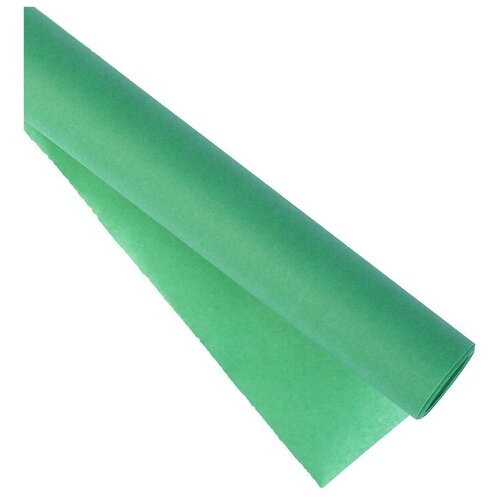 Пергамент для кроя Евроснаб зеленый 60 г/м, рулон 49,5 смх3 м (пергамент.49503. зеленый)