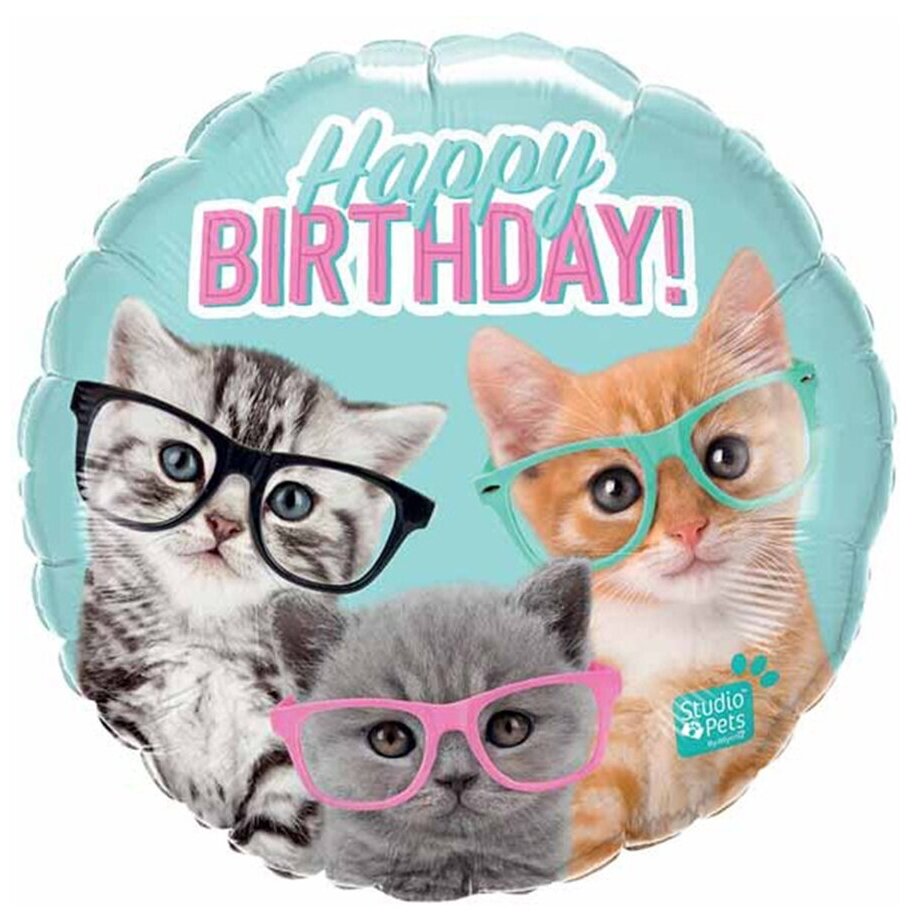 Воздушный шар фольгированный PartyDeco круглый, Милые котята/котики в очках, С Днем рождения, голубой, 46 см