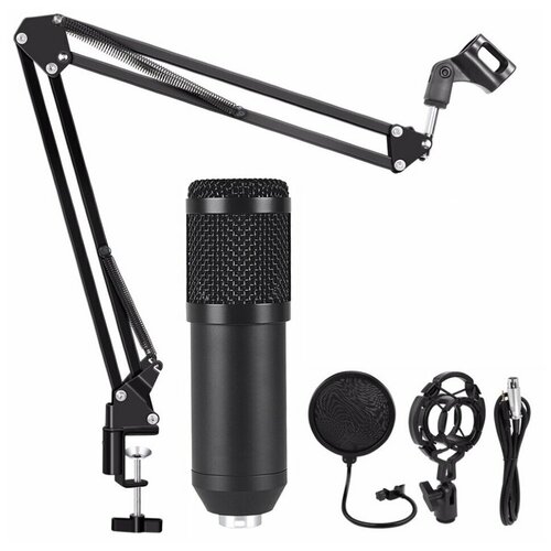 Студийный микрофон BM 800 / BM800.