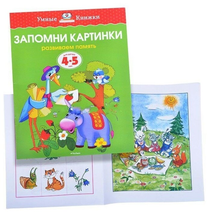 Запомни картинки. Развиваем память. Для детей 4-5 лет - фото №3