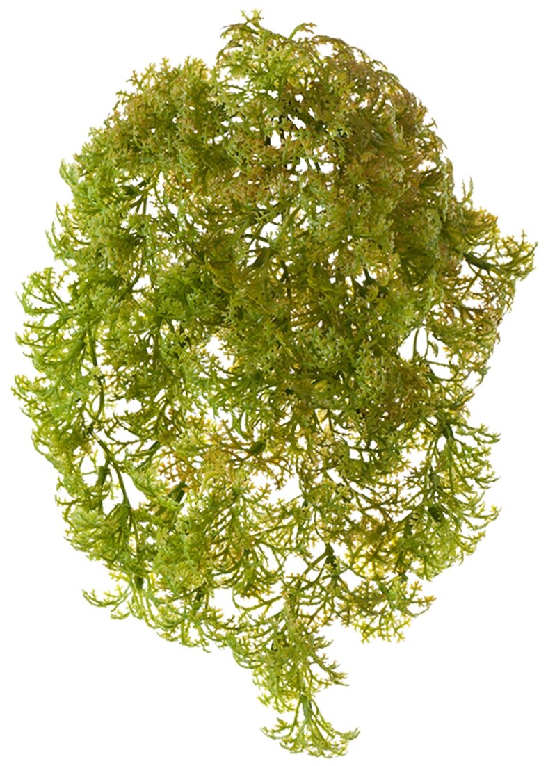Искусственное растение Ватер-грасс (Рясковый мох) Gerard de ros