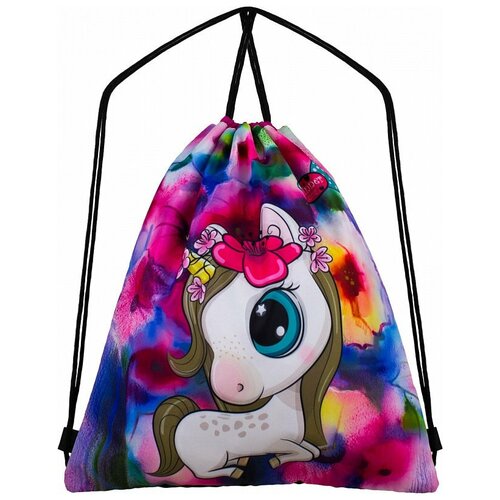 Мешок для обуви Winner one M-34 Мультиколор