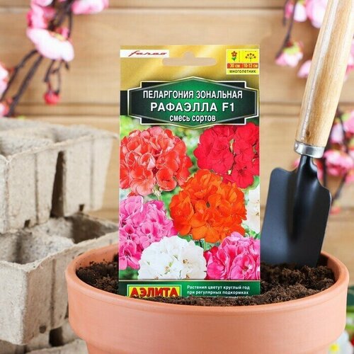Семена комнатных цветов Пеларгония Рафаэлла,5 шт 2 упаковки семена комнатных цветов агрофирма аэлита пеларгония рафаэлла f1 5 шт