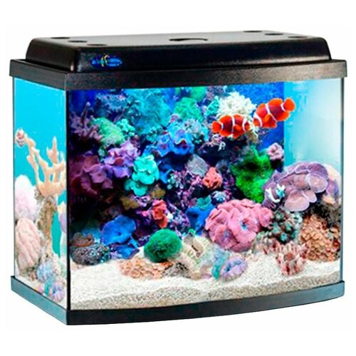 Аквариум Биодизайн Классик 20R панорама черный (1 шт)